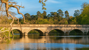 How to Get High-Quality Photos For Your Fishing Club