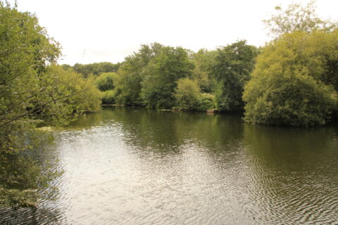 Newton Abbot Fishing Association