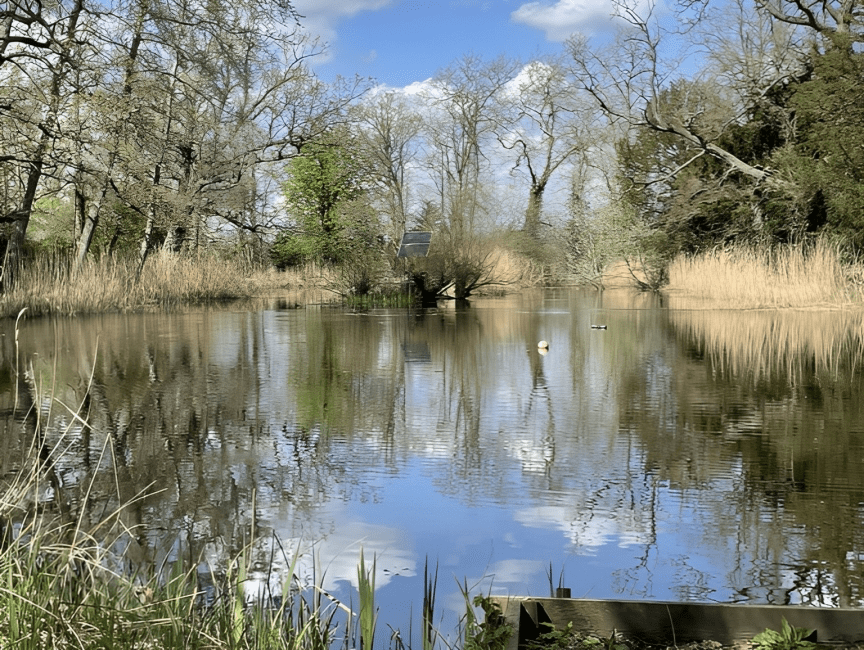 Swallowfield Fishing Club and Clubmate