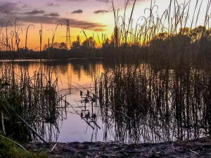 Beautiful sunset cast over SWS Fisheries.