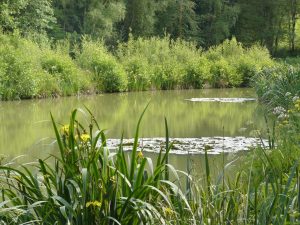 East Grinstead Angling Society Waters