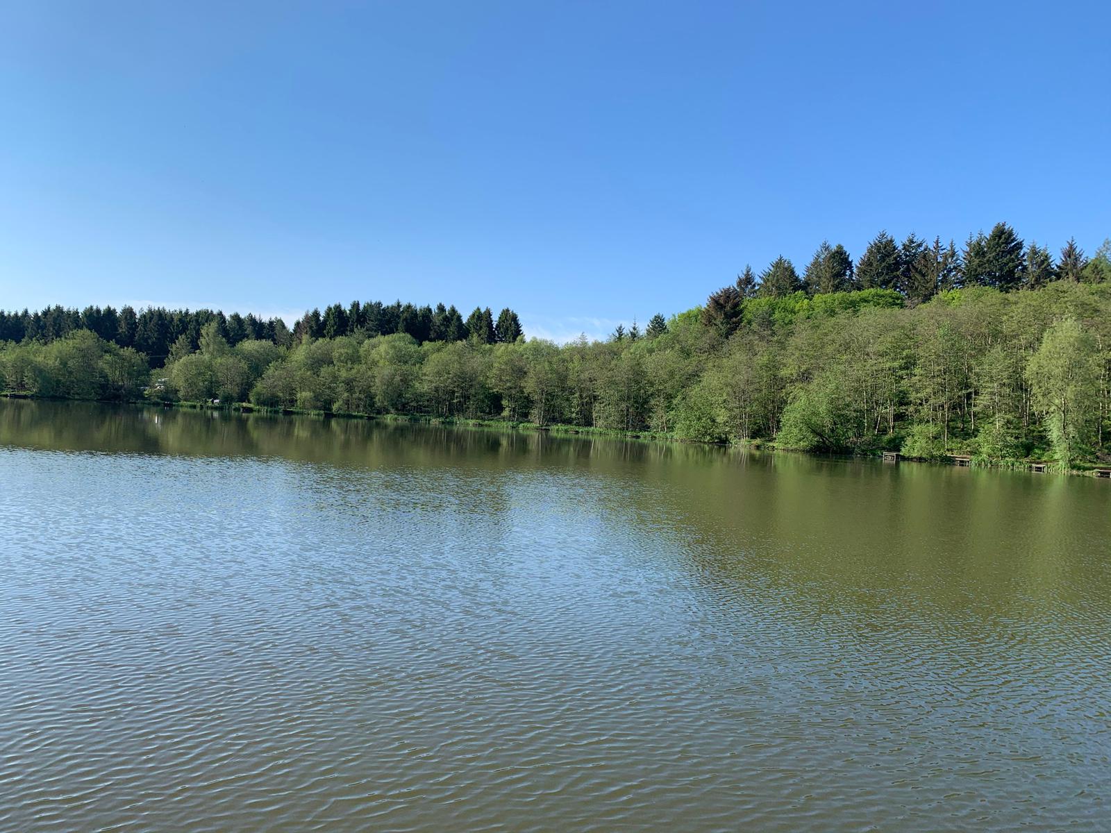 Royal Forest of Dean Angling Club Waters