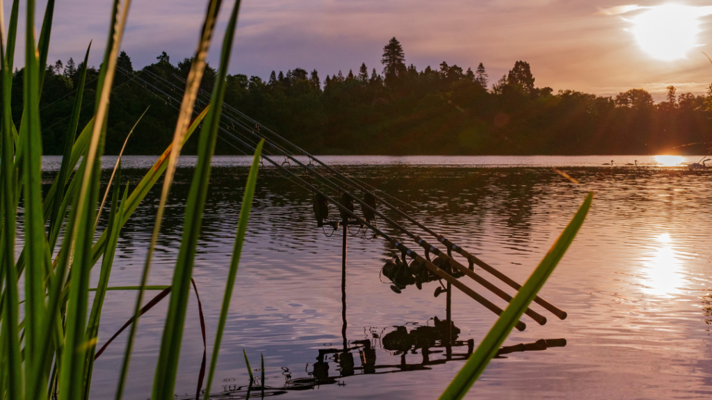 Simple Ways to Attract More Anglers This Summer
