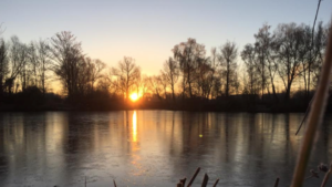 A peaceful sunset over the lake at Ware Angling Club, one of the most popular fishing clubs in the South East of England.