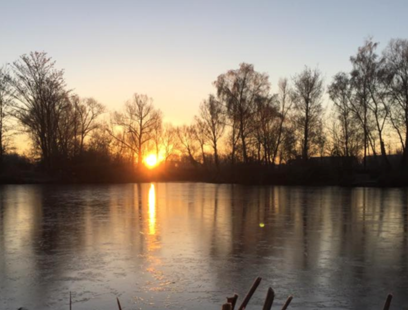 A peaceful sunset over the lake at Ware Angling Club, one of the most popular fishing clubs in the South East of England.