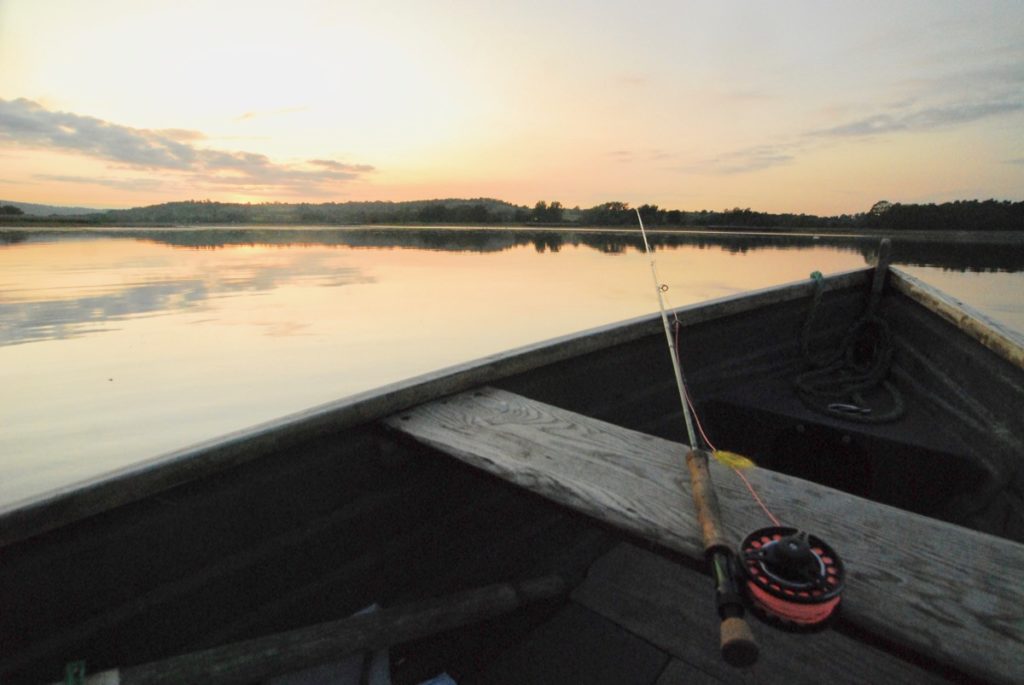 Multi-species fly fishing at Chew Valley Lake
