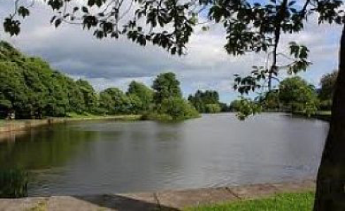 The Journey of a Treasurer